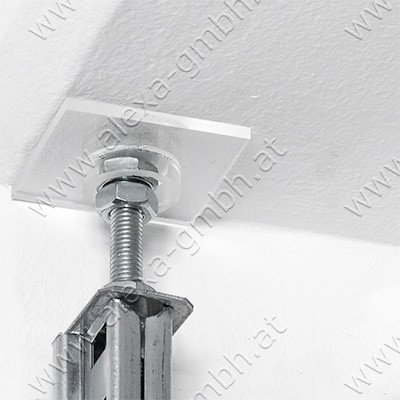 Druckplatte Acrylglas 60x60 mit Ring Typ1