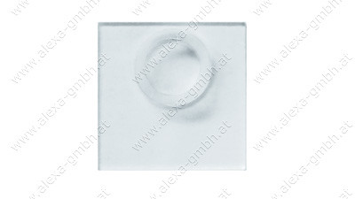 Druckplatte Acrylglas 60x60 mit Ring Typ2