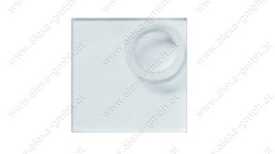 Druckplatte Acrylglas 60x60 mit Ring Typ3